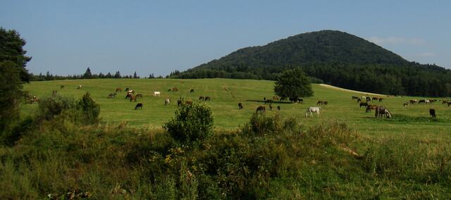 Urokliwy Beskid Niski