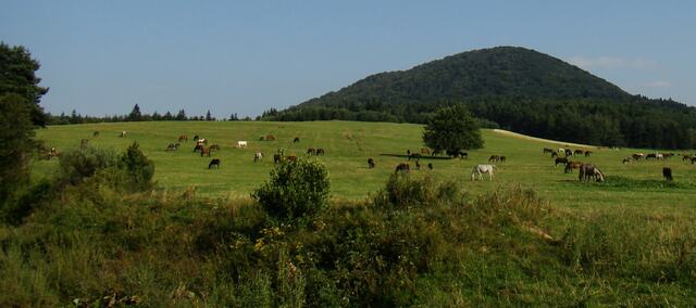 Urokliwy Beskid Niski