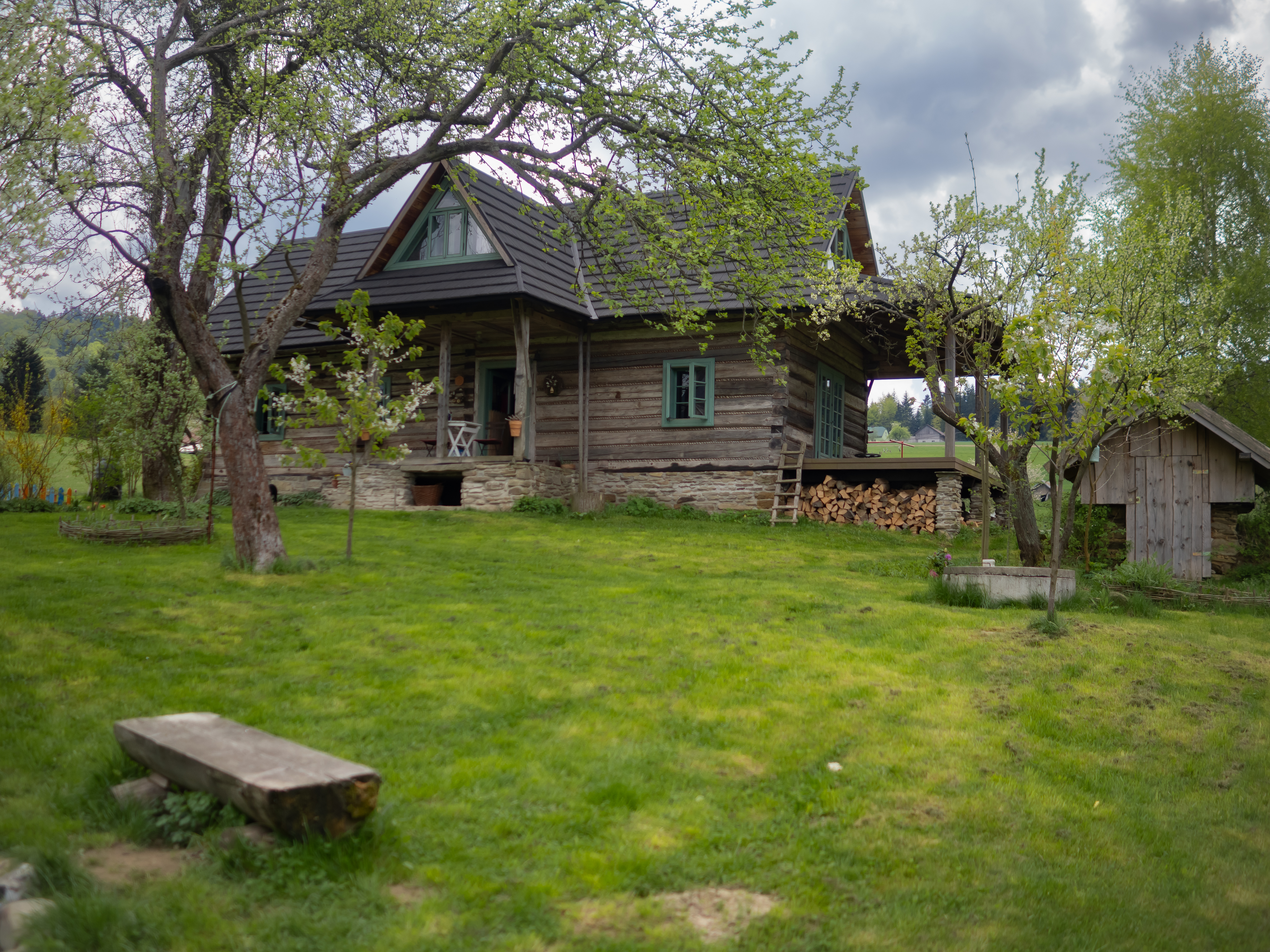 P4240694.jpg (14.27 MB)